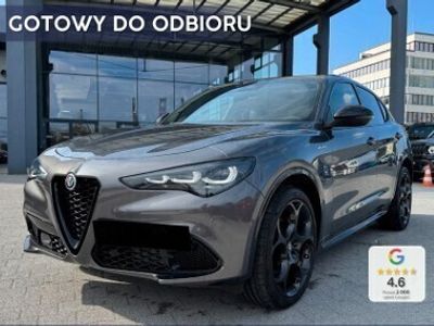 Niebieski Nowe 2025 Alfa Romeo Stelvio Veloce SUV | 265 200 zł