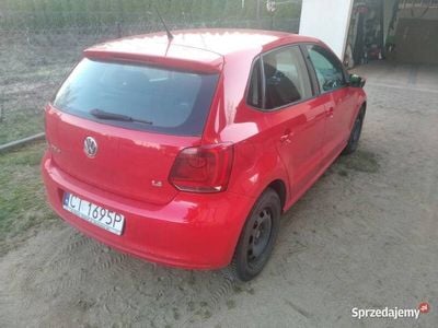 VW Polo