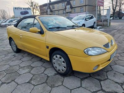 Żółty Używany 2002 Renault Mégane Cabriolet Kabriolet | 4200 zł