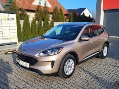 Brązowy Używany 2020 Ford Escape SE SUV | 89 900 zł (Drogi)
