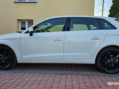 Biały Używany 2008 Audi A3 Hatchback | 60 500 zł