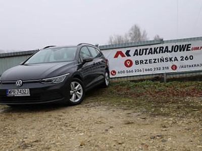 używany VW Golf VIII (2020-)