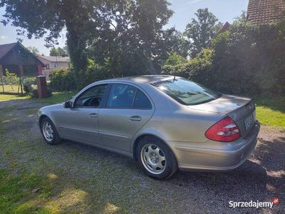 używany Mercedes E220 SprzedamCDI