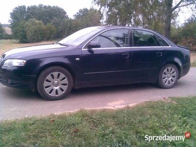 Używany 2005 Audi A4 | 22 000 zł