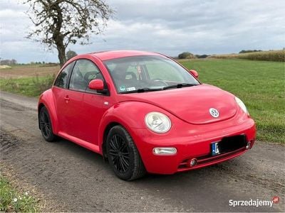 VW Beetle