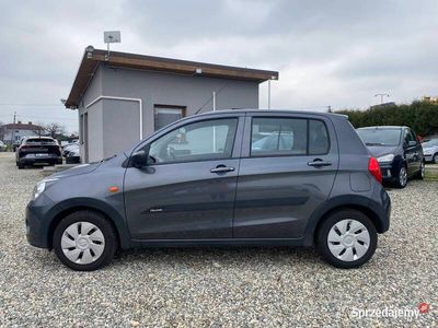 używany Suzuki Celerio 