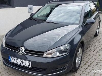 Używany 2015 VW Golf VII Highline Hatchback | 40 900 zł (Uczciwa cena)