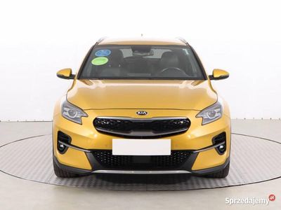 Używany Kia XCeed 2021 Złoty SUV