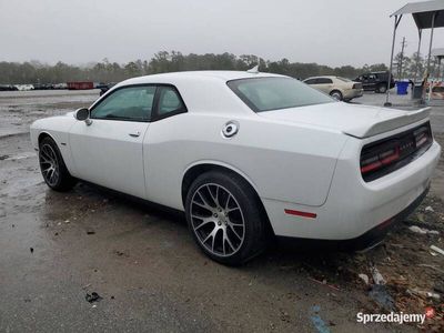 używany Dodge Challenger 