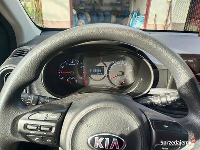 Szary Używany 2021 Kia Picanto Hatchback | 61 000 zł (Drogi)