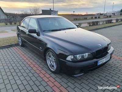 używany BMW 530 e39 D m pakiet shadow line