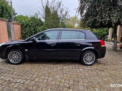 Opel Signum