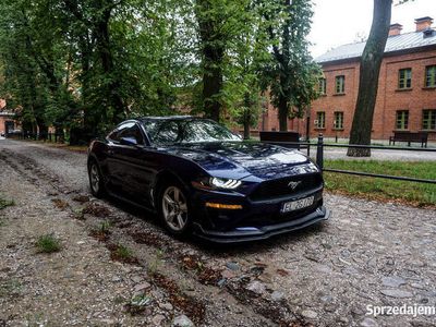 używany Ford Mustang 2.3 Automat