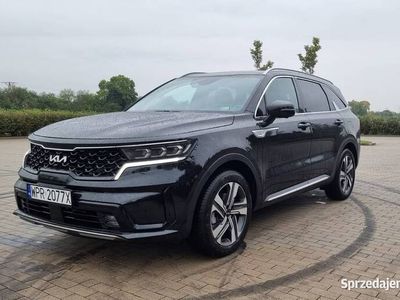 Czarny Używany 2022 Kia Sorento SUV | 187 000 zł