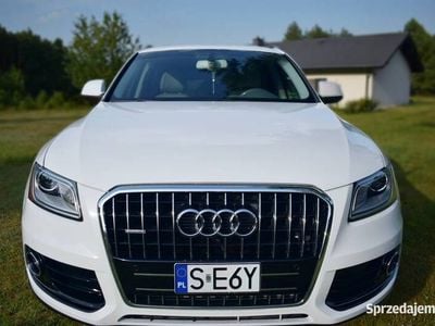 Używany Audi Q5 2013 SUV