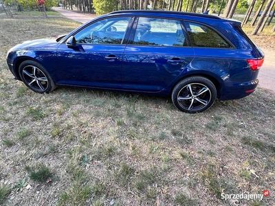Używany Audi A4 2017 Niebieski Kombi