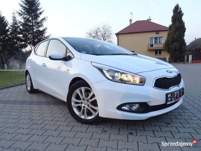 używany Kia Ceed Ceed1.6 GDI L Business Line