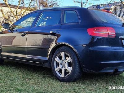 Czarny Używany 2010 Audi A3 Hatchback | 24 000 zł (Dość drogi)