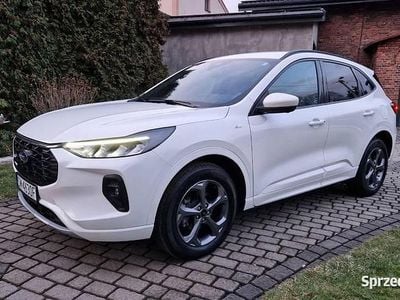 Używany 2023 Ford Kuga ST-Line SUV | 109 900 zł (Drogi)
