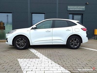 Używany 2022 Ford Kuga SUV | 103 900 zł (Super Cena)