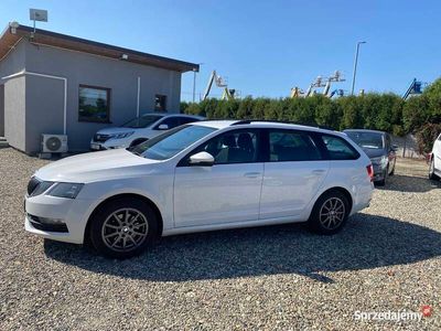 Biały Używany 2019 Skoda Octavia Kombi | 45 890 zł (Dość drogi)