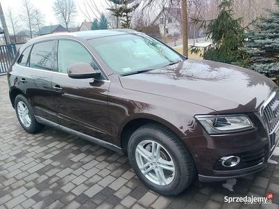 Używany Audi Q5 2013 SUV