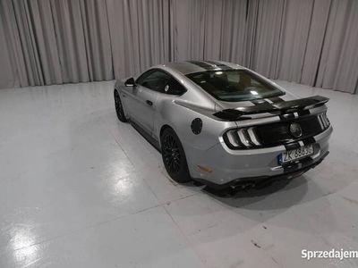 używany Ford Mustang 5.0 ZK6863G