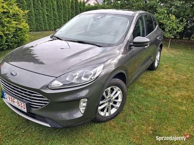 Używany Ford Kuga 2020 Szary SUV