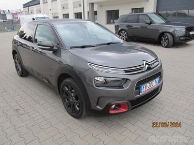 używany Citroën C4 Cactus hatchback