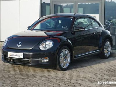 VW Beetle
