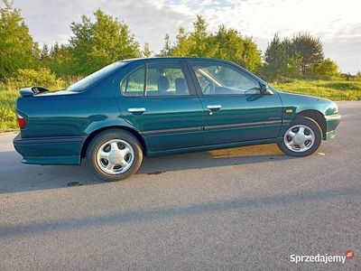 Używany Nissan Primera 1996 Zielony Sedan/Limuzyna