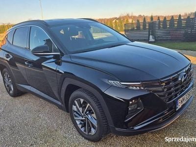 Używany 2022 Hyundai Tucson SUV | 115 000 zł (Drogi)