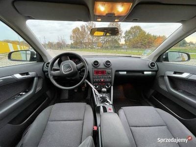 Grafitowy Używany 2006 Audi A3 Hatchback | 18 500 zł (Dość drogi)