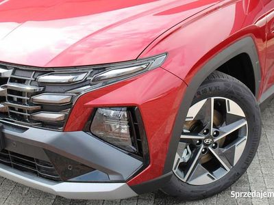 Czerwony Nowe 2025 Hyundai Tucson SUV | 139 900 zł (Uczciwa cena)