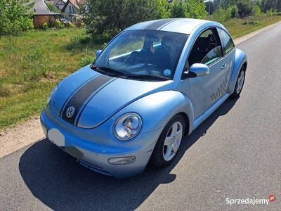 VW Beetle