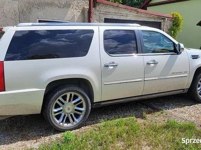 Używany 2010 Cadillac Escalade | 72 900 zł