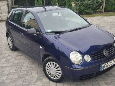 VW Polo