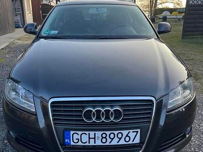 Używany 2009 Audi A3 | 25 000 zł (Dość drogi)