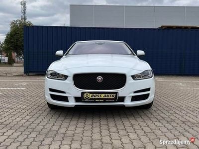 Używany Jaguar XE 2017 Biały Sedan/Limuzyna
