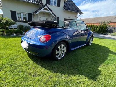 VW Beetle