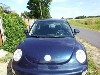 używany VW Beetle pelen bak