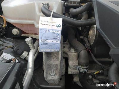 używany VW Golf VIII serwisowany na gwarancji do 2026 roku