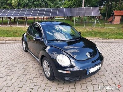VW Beetle