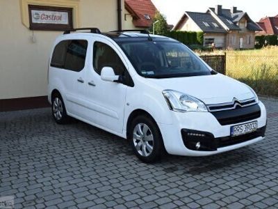 używany Citroën Berlingo II 1.6 HDI Multispace Max wyposażenie