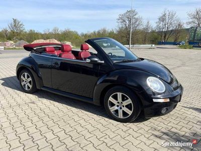 VW Beetle