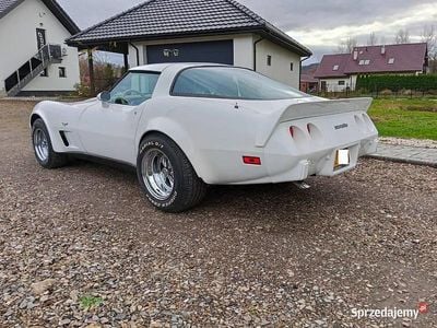Używany 1979 Corvette C3 | 109 900 zł