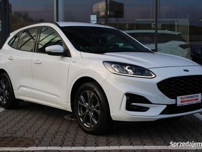 Używany 2021 Ford Kuga SUV | 94 900 zł (Drogi)