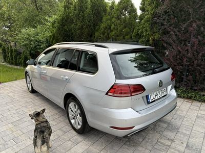 VW Golf VII