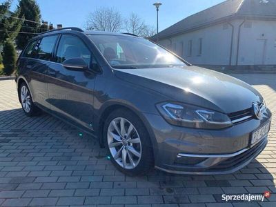 używany VW Golf VII 2019r 1.6 TDI Salon PL Stan BDB