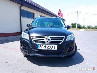 VW T5